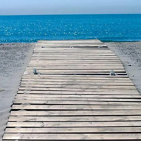 Alba 3*